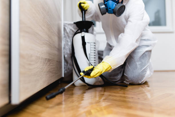 Reliable Gantt, SC Pest Control Solutions