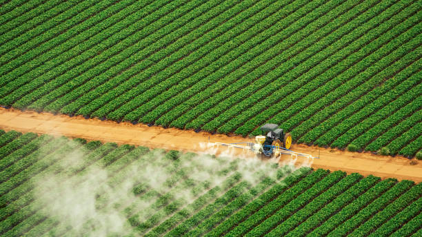 Best Best Pest Control Companies  in Gantt, SC